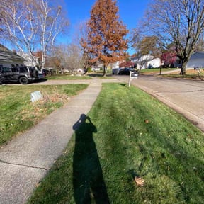 Leaf Removal by Express lawn reviewed on November 23, 2025