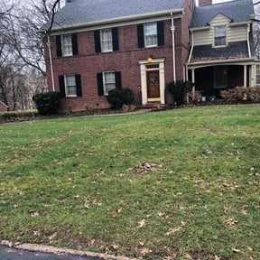 Leaf Removal by Solis Landscaping  &amp; Maintenance LLC reviewed on September 23, 2025