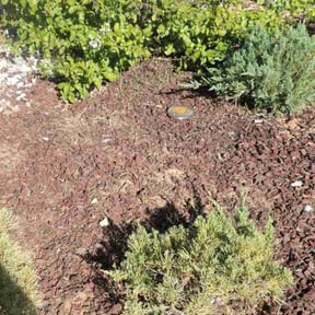 Flower Bed Weeding by A rated landscaping reviewed on June 22, 2025