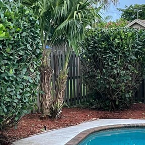 Bush Trimming by One yard at a time reviewed on August 20, 2025