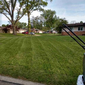 grass cutting by FLE lawns reviewed on August 18, 2025