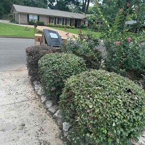 Bush Trimming by Evan's Lawncare reviewed on July 3, 2026