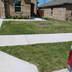 yard maintenance by Mando's lawncare service reviewed on March 30, 2022