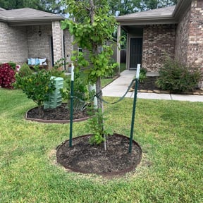 Flower Bed Weeding by D's Lawn Care reviewed on August 20, 2025