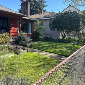 lawn service by Edgar reviewed on April 15, 2025