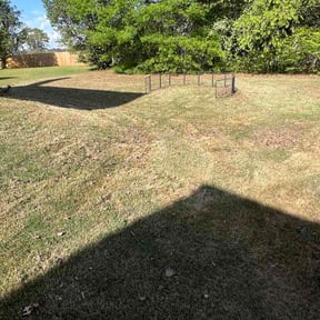 Bush Trimming by Michael Ritchie reviewed on April 6, 2026