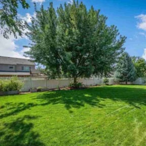 lawn care by Fresh Coast Lawn Care reviewed on August 30, 2024