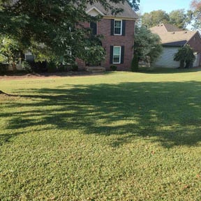 residential landscaping by Absolutely Random reviewed on August 17, 2025