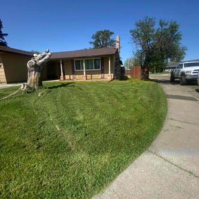 turf maintenance by Loza Lawn Care reviewed on December 28, 2023