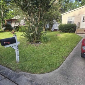 Long Grass Cleanup by It's Dubble Better Lawn & haul reviewed on August 20, 2025