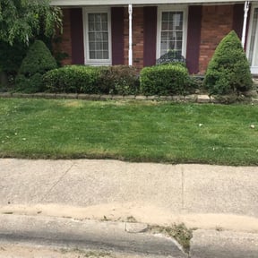 Bush Trimming by Young's Lawn Care Services reviewed on August 19, 2025