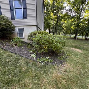 Bush Trimming by Jenkins Lawn Company reviewed on June 19, 2026