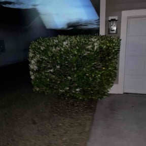 Bush Trimming by Chefs cut lawncare reviewed on August 19, 2025