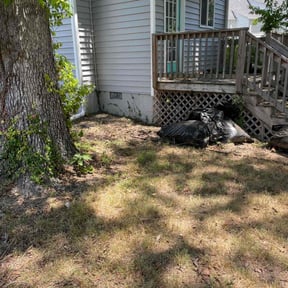 Leaf Removal by C & S Landscape Company, LLC reviewed on August 18, 2025