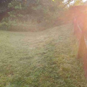 Long Grass Cleanup by Fortanel lanscaping reviewed on December 9, 2023