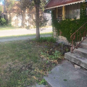 Bush Trimming by All Seasons Landscape &amp; Hauling reviewed on November 4, 2025