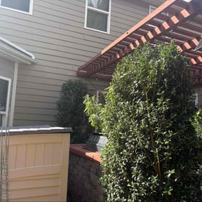 Bush Trimming by A&amp;M reviewed on November 10, 2025