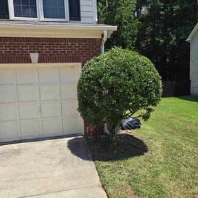 Bush Trimming by Batten Down The Grasses reviewed on August 15, 2025