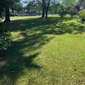 residential landscaping by American lawn care reviewed on August 20, 2025