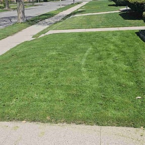 landscaping services by Cut and Go reviewed on August 20, 2025