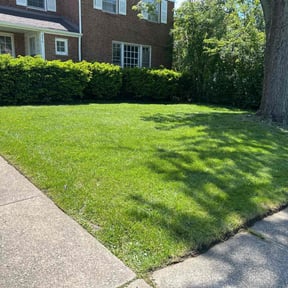 lawn care services by Blessed 7 Lawn Care reviewed on August 21, 2025