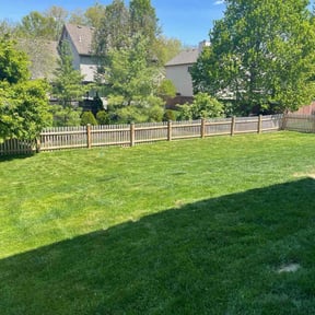 Lawn Mowing by Adams Paiz reviewed on August 15, 2025