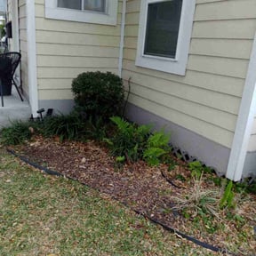 Bush Trimming by Corrupt Demo & Landscaping reviewed on August 15, 2025