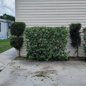 Bush Trimming by Coleman Clean Cuts reviewed on April 11, 2023