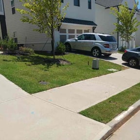 landscaping by Loyalty lane landscaping reviewed on August 18, 2025