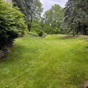 gardening service by Johnny Ds Lawn Service reviewed on August 16, 2025