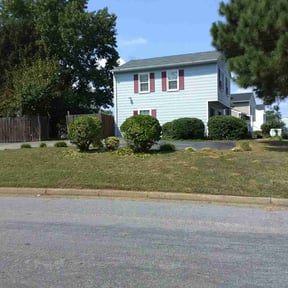 Bush Trimming by Big bobs lawns reviewed on August 20, 2025