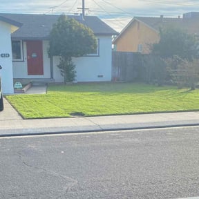 residential landscaping by Peter Razo reviewed on January 21, 2026