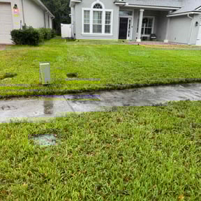 turf maintenance by MR Lawn reviewed on May 15, 2024