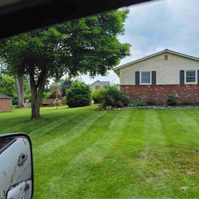 landscaping by M&M's Lawn Services reviewed on August 19, 2025