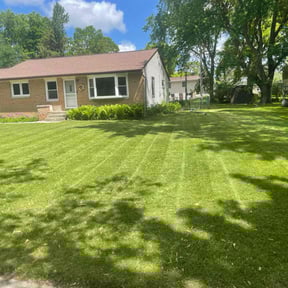 grass maintenance by We Service lawns & Home Remodeling reviewed on May 13, 2025