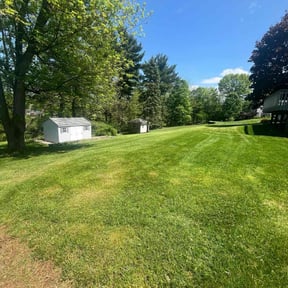 landscaping by MLB detailing LLC reviewed on August 18, 2025