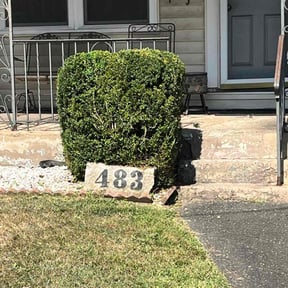 Bush Trimming by Dickerson works  llc reviewed on October 20, 2025