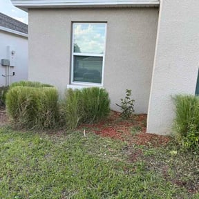 Bush Trimming by NH Landscaping reviewed on May 23, 2026