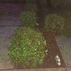 Bush Trimming by Coastal Landscaping reviewed on January 8, 2026