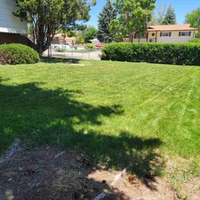 yard maintenance by Right Touch Landscaping reviewed on August 18, 2025