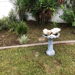 Flower Bed Weeding by Flowers Transportation & Maintenance LLC reviewed on August 13, 2025