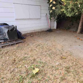 Leaf Removal by WesleyBrothers lawn care LLC reviewed on September 11, 2025