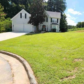 landscaping services by Rosetta LLC reviewed on August 19, 2025