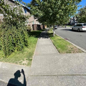 gardening service by Deal's Lawn Maintenance reviewed on August 17, 2025