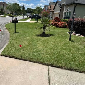yard maintenance by Hanhan Lawn Care LLC reviewed on August 17, 2025