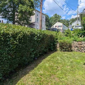 Bush Trimming by B&amp;P Landscaping reviewed on August 3, 2026