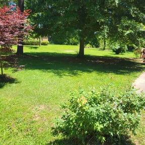 landscaping services by Quality cuts reviewed on August 16, 2025