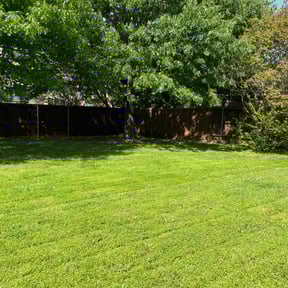 turf maintenance by Adam Wisdom reviewed on August 20, 2025