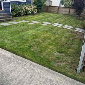 lawn care by Lawn Shark reviewed on July 27, 2023