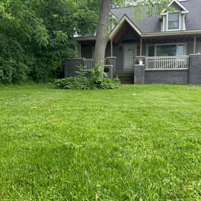 yard service by Sun city lawn care reviewed on August 19, 2025